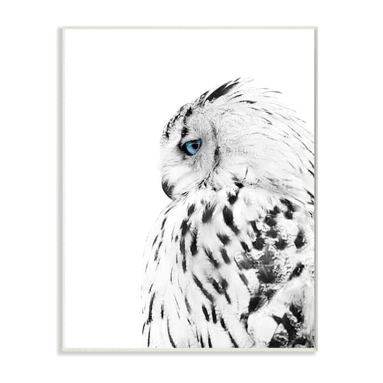 Stupell Industries Snow Owl White Feathers Peering Blue Eyes Wall Plaque